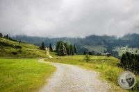 Watermark_2IMG_0443