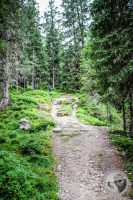 Watermark_30IMG_0473