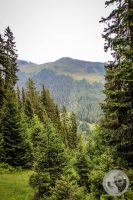 Watermark_33IMG_0476