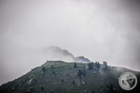 Watermark_34IMG_0477