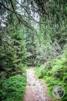 Watermark_36IMG_0479