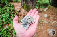 Watermark_37IMG_0480