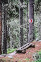Watermark_39IMG_0482