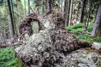 Watermark_41IMG_0484