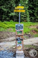 Watermark_43IMG_0486