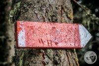 Watermark_45IMG_0488