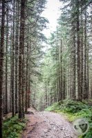 Watermark_46IMG_0489