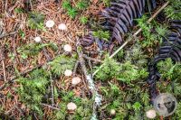 Watermark_49IMG_0492