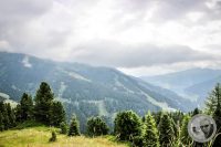 Watermark_4IMG_0445