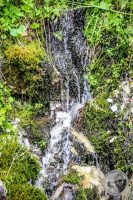 Watermark_51IMG_0494