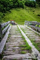 Watermark_55IMG_0498