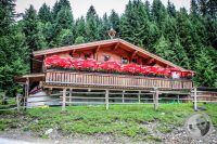 Watermark_60IMG_0501