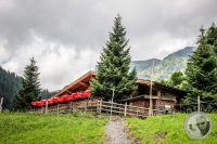 Watermark_63IMG_0504