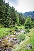 Watermark_64IMG_0505