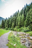 Watermark_65IMG_0506