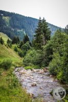Watermark_66IMG_0507