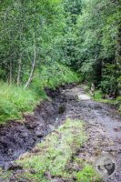 Watermark_68IMG_0509
