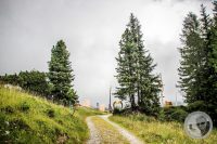 Watermark_6IMG_0449
