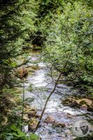 Watermark_70IMG_0511