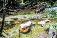 Watermark_72IMG_0513