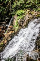 Watermark_74IMG_0515