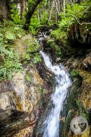 Watermark_75IMG_0516