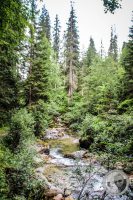 Watermark_76IMG_0517