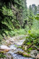 Watermark_77IMG_0518