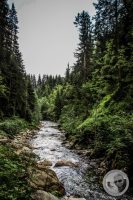 Watermark_78IMG_0519