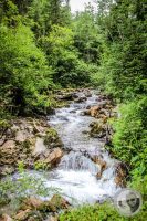 Watermark_79IMG_0520