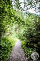Watermark_83IMG_0528