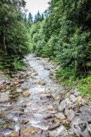 Watermark_86IMG_0531