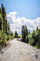 Watermark_92IMG_0538