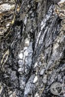 Watermark_94IMG_0540
