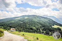 Watermark_97IMG_0544
