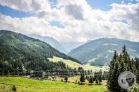 Watermark_98IMG_0545