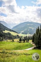 Watermark_99IMG_0546