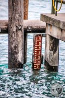 Watermark_14IMG_0576