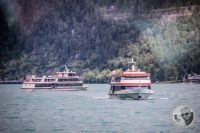 Watermark_40IMG_0610