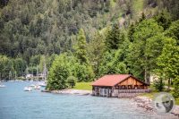 Watermark_45IMG_0615