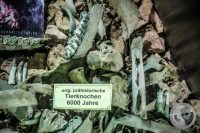 Watermark_64IMG_0634