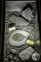 Watermark_66IMG_0636