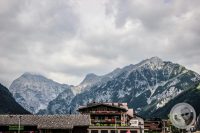 Watermark_7IMG_0572