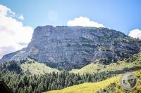 Watermark_10IMG_0660