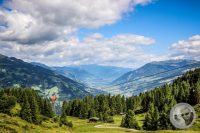 Watermark_11IMG_0662