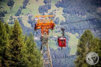 Watermark_12IMG_0663
