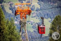Watermark_13IMG_0664