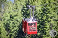 Watermark_15IMG_0666