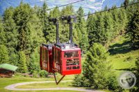 Watermark_16IMG_0667