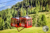 Watermark_18IMG_0669